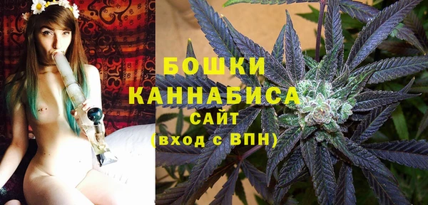Альфа ПВП Краснослободск
