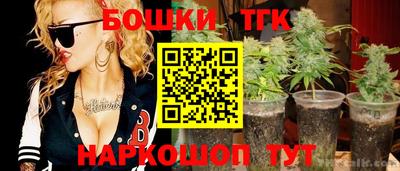 крисы Дубна