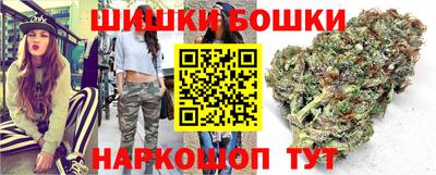 крисы Дубна