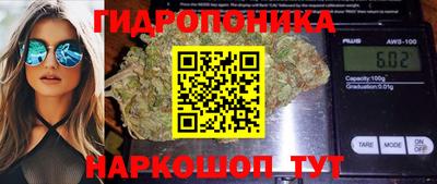 стафф Донецк