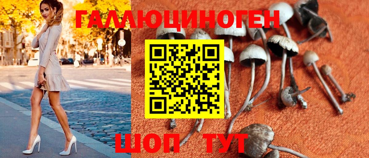 Галлюциногенные грибы ЛСД  Москва  Псилоцибиновые грибы Psilocybine cubensis 