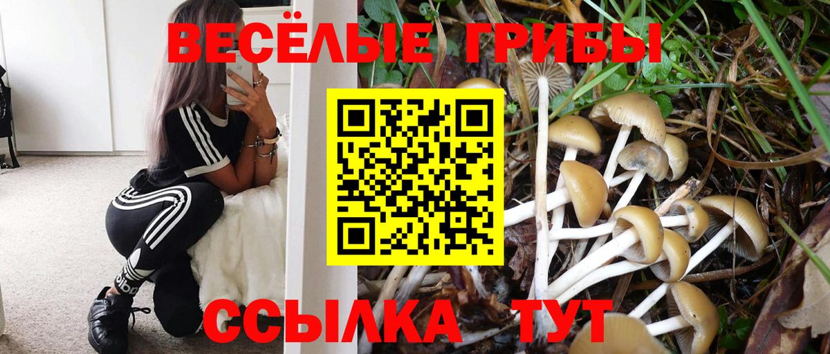 Псилоцибиновые грибы MAGIC MUSHROOMS  Псилоцибиновые грибы прущие грибы  закладка  Вход с VPN  Москва 