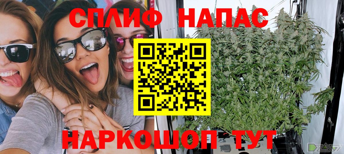 МАРИХУАНА гибрид  Марихуана марихуана  МАРИХУАНА White Widow  Марихуана сатива  Москва 